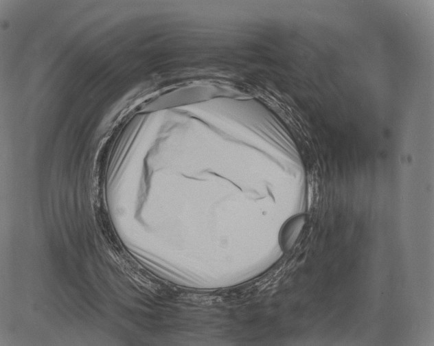 X0000083660339200703121817