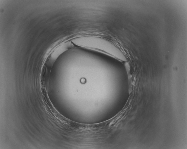 X0000083660340200703121817