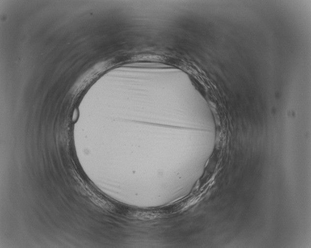 X0000083660341200703121817