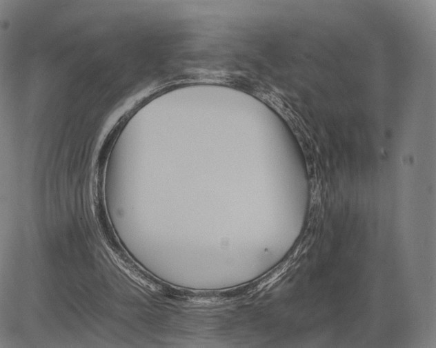 X0000083660342200703121817