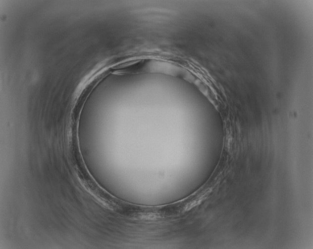 X0000083660344200703121817