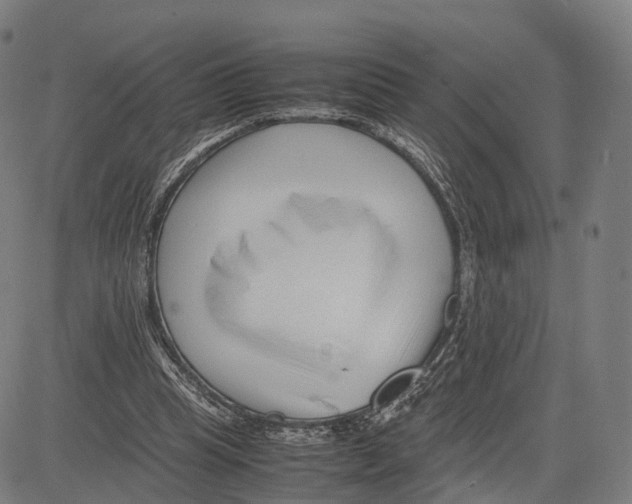 X0000083660345200703121817