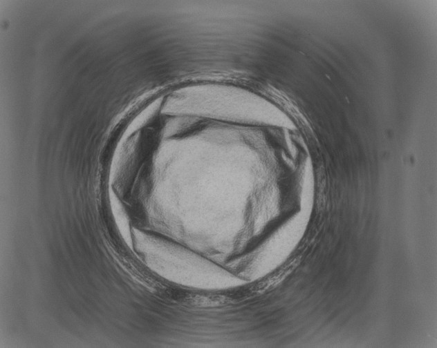 X0000083660346200703121817