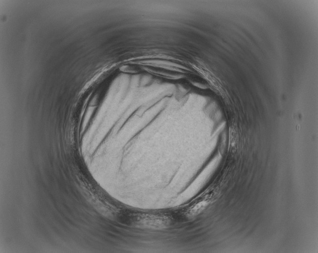 X0000083660347200703121817