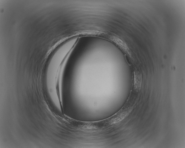 X0000083660348200703121817