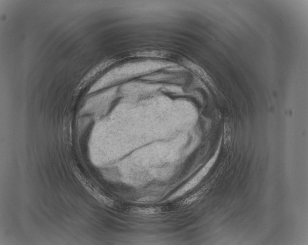 X0000083660349200703121817