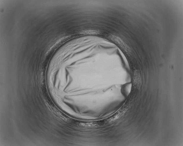 X0000083660351200703121817