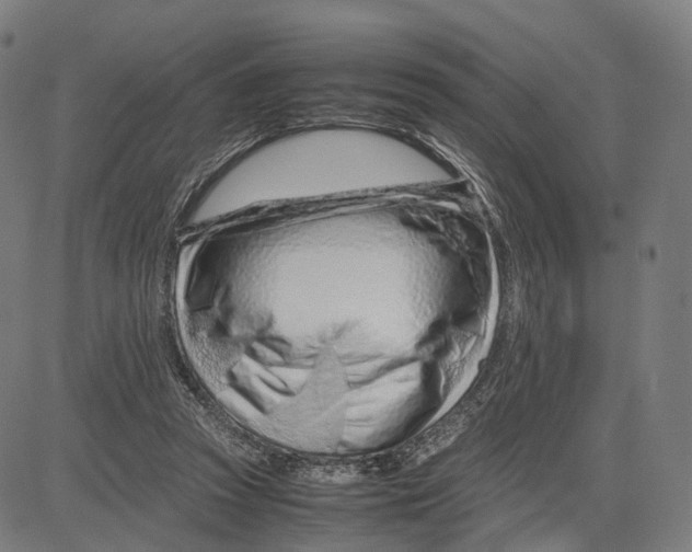 X0000083660353200703121817