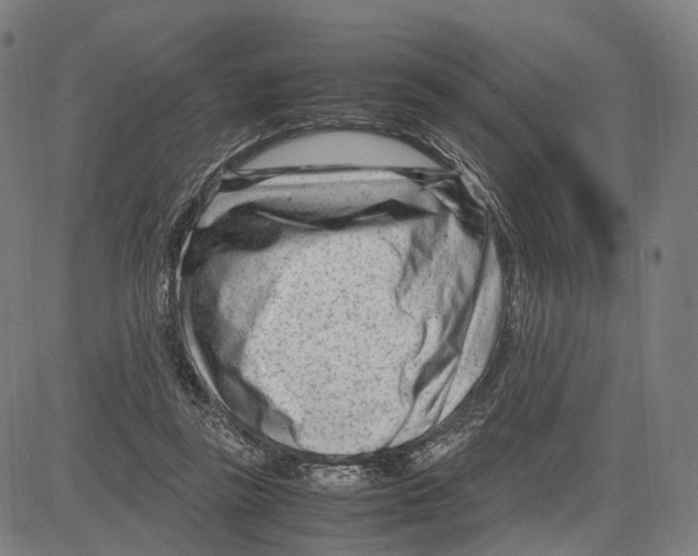 X0000083660355200703121817