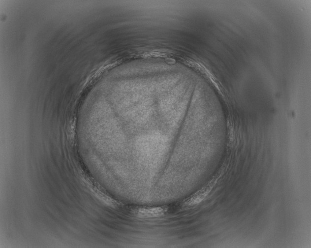 X0000083660357200703121817