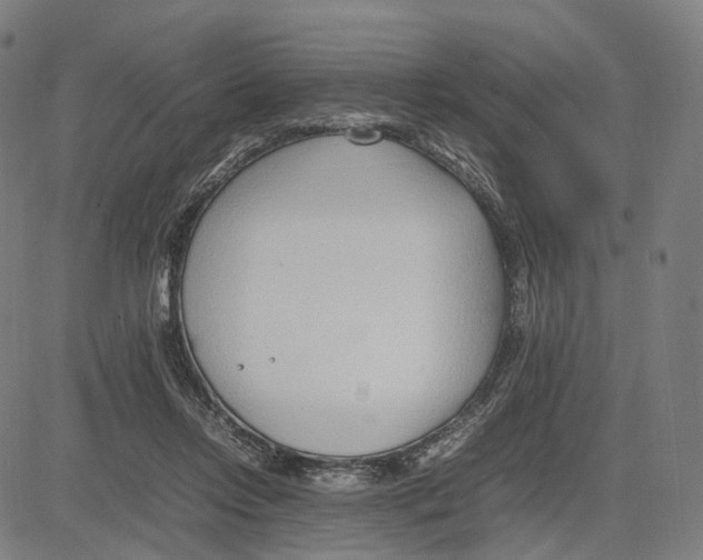 X0000083660358200703121817