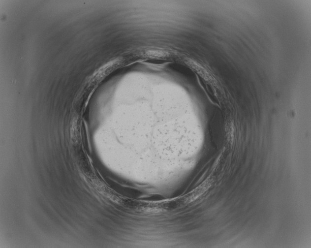 X0000083660360200703121817