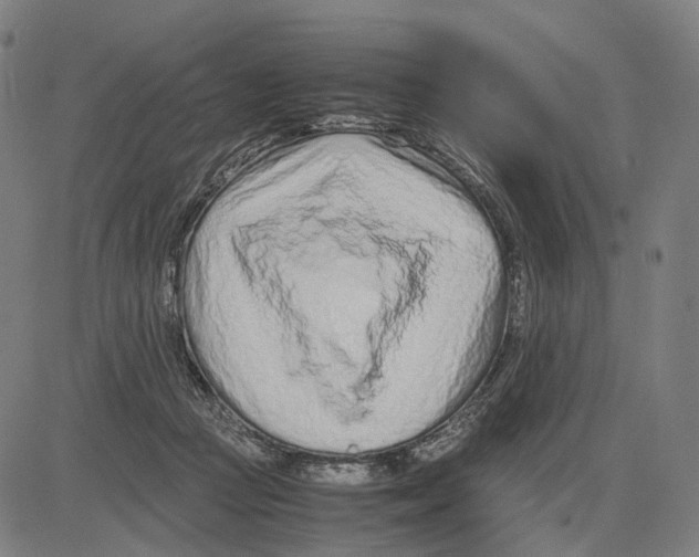 X0000083660361200703121817