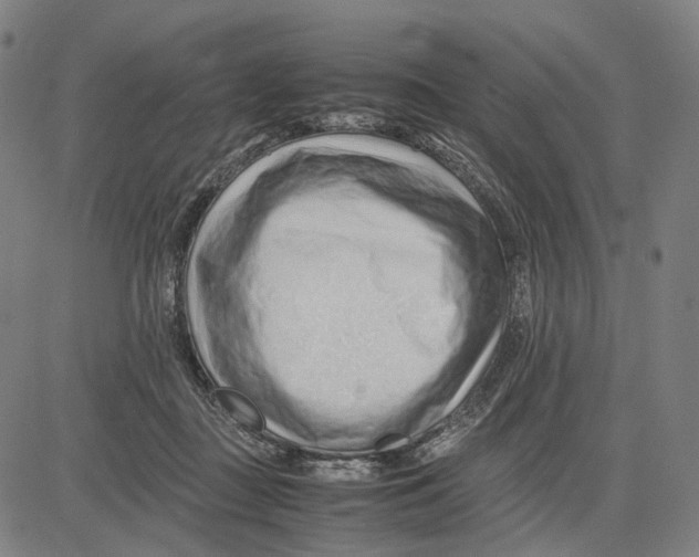 X0000083660363200703121817