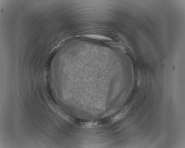 X0000083660366200703121817