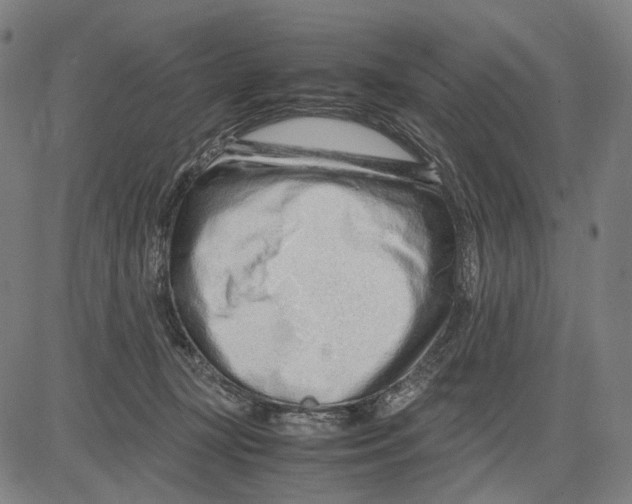 X0000083660367200703121817