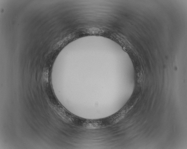 X0000083660368200703121817