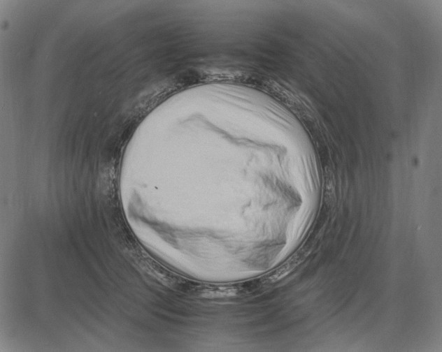 X0000083660369200703121817