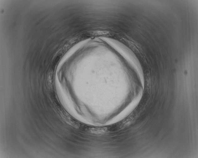 X0000083660373200703121818