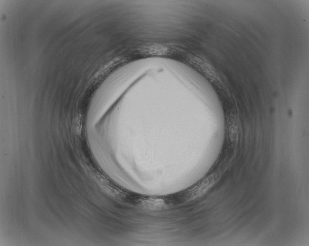 X0000083660374200703121818