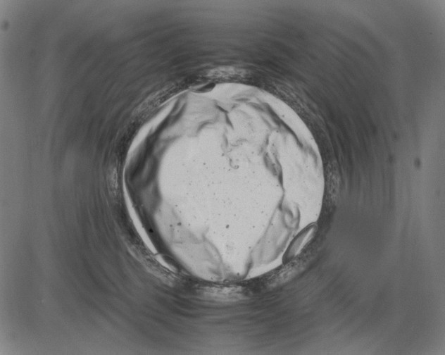 X0000083660375200703121818