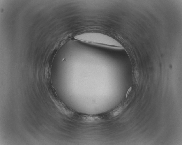 X0000083660379200703121818