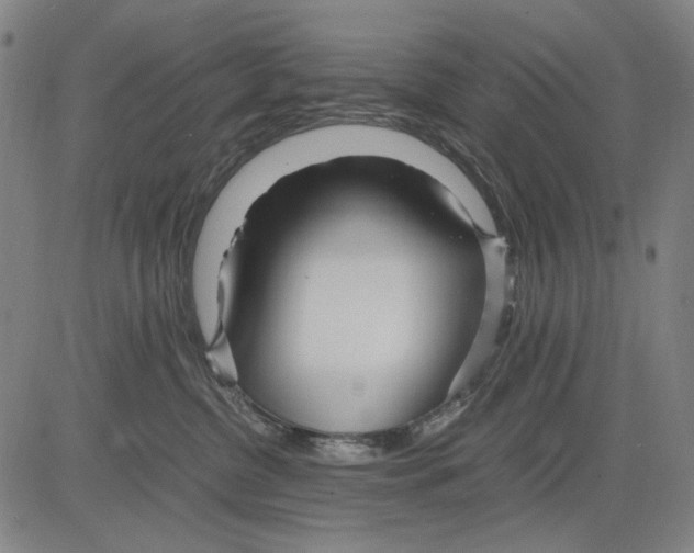 X0000083660380200703121818