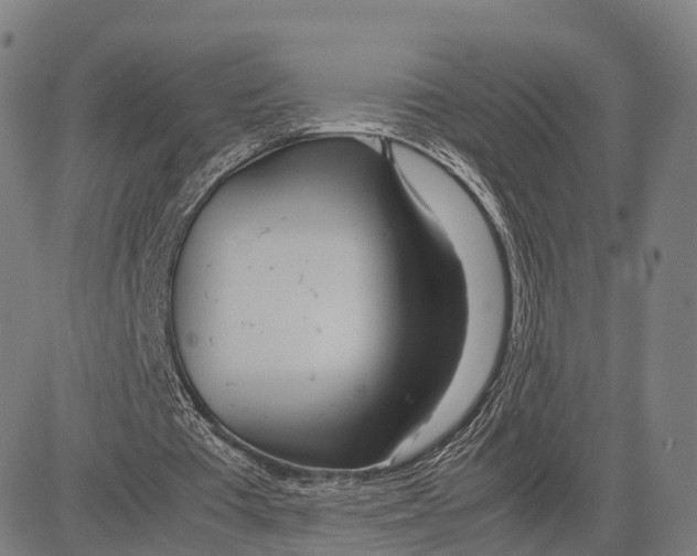 X0000083660385200703121817