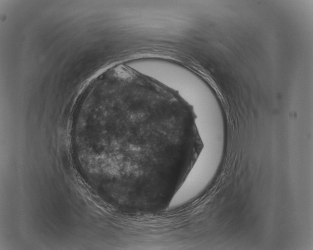 X0000083660387200703121817