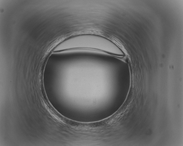 X0000083660389200703121817