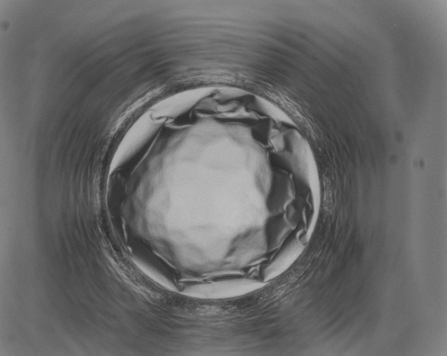 X0000083660390200703121817