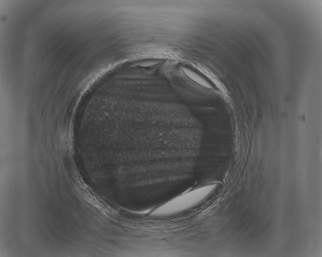 X0000083660391200703121817