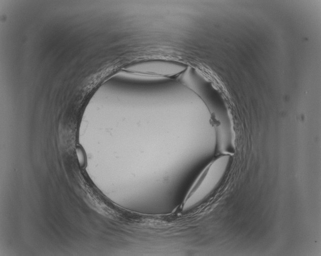 X0000083660393200703121817