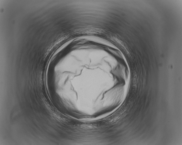 X0000083660394200703121817