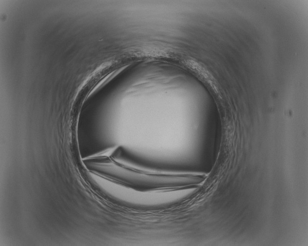 X0000083660395200703121817