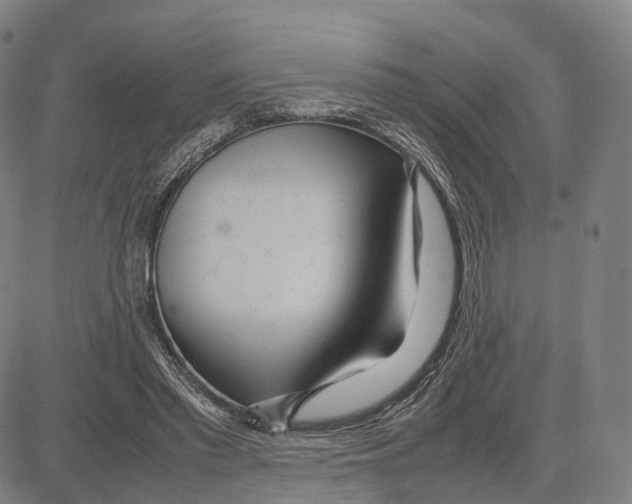 X0000083660397200703121817