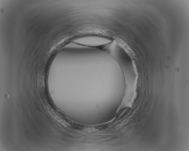 X0000083660399200703121817