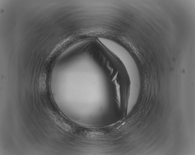 X0000083660400200703121817