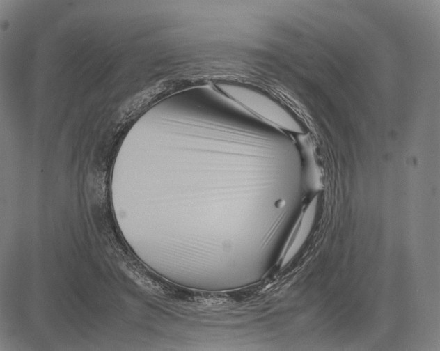 X0000083660401200703121817