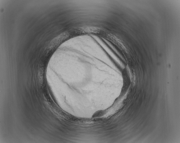 X0000083660402200703121817