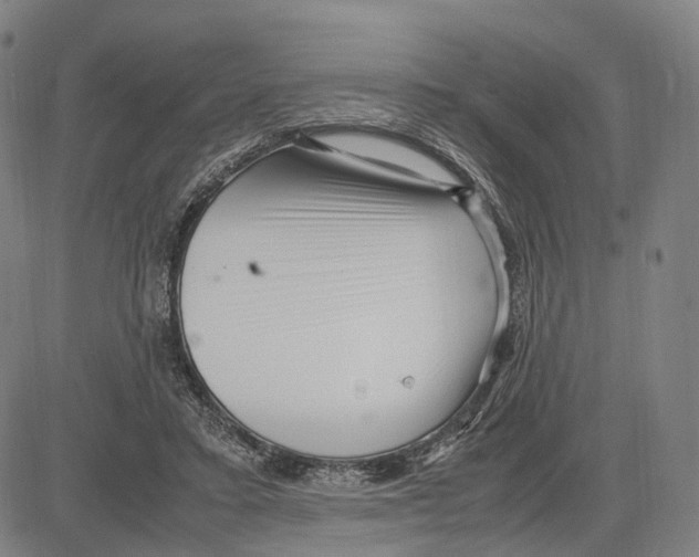 X0000083660403200703121817