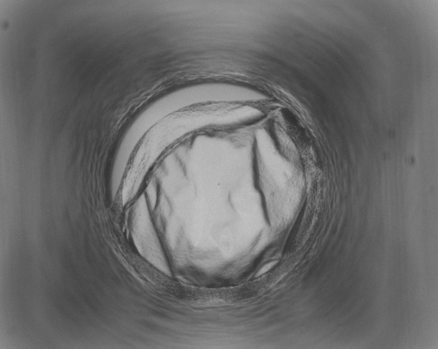 X0000083660405200703121817