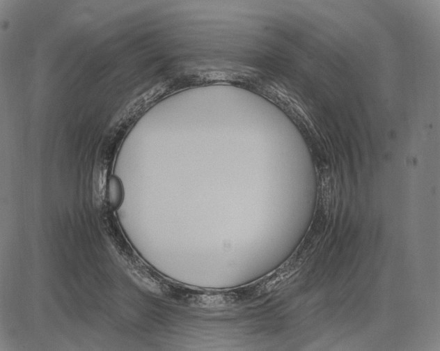 X0000083660406200703121817