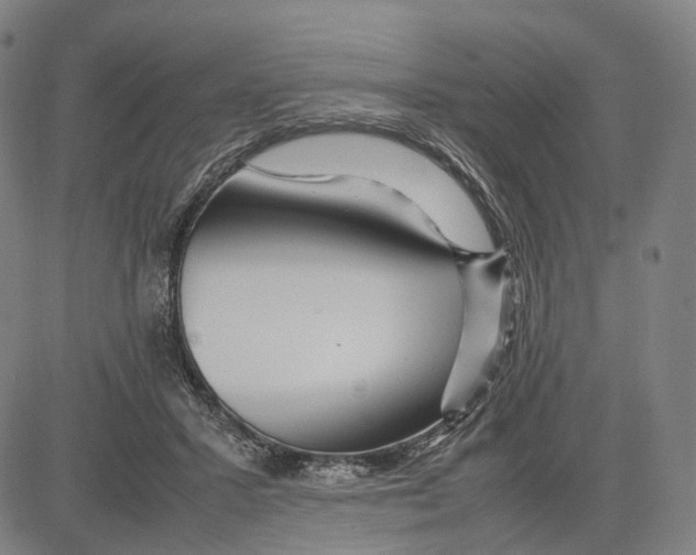 X0000083660407200703121817