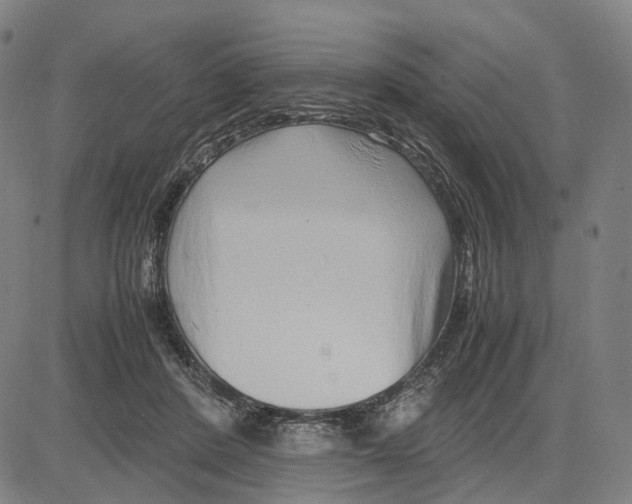 X0000083660408200703121817