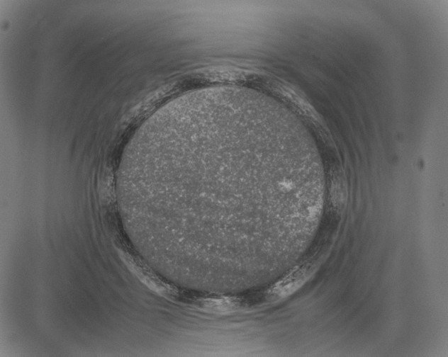 X0000083660411200703121816