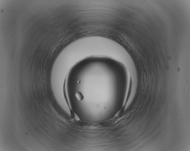 X0000083660412200703121816