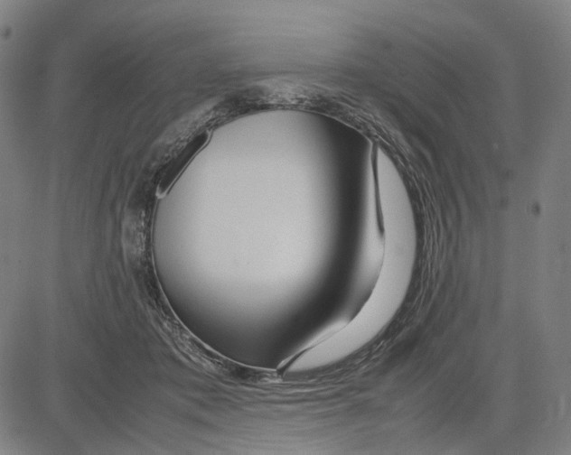 X0000083660413200703121816