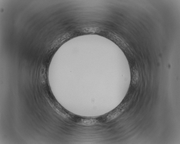 X0000083660414200703121816