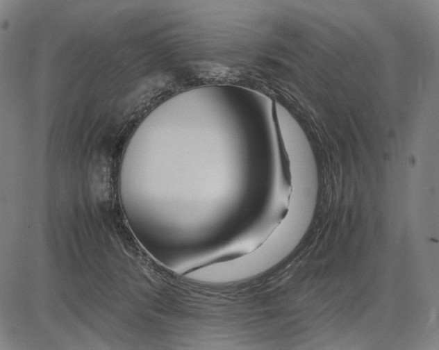 X0000083660416200703121816